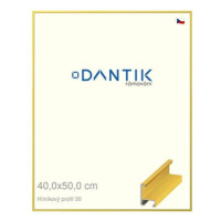 DANTIK rámeček 40 × 50, ALU profil 6030 Dýha barevný žlutý citrus sklo čiré