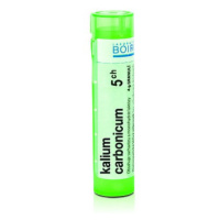 Kalium carbonicum 5CH granule 1x4g