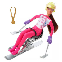 Mattel barbie zimní sporty paralympijská lyžařka, hcn33