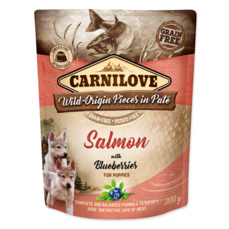 Kapsička Carnilove Dog Pouch Paté Puppy losos s borůvkami 300g