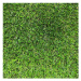 Travní koberec Bermuda 200 x 300 cm
