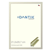 DANTIK rámeček 21 × 29,7, ALU profil 7269 zlatý matný sklo čiré