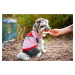 Vsepropejska Tyras letní tričko pro psa Barva: Růžová, Délka zad (cm): 18, Obvod hrudníku: 27 - 