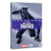 Black Panther - DVD