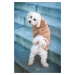 Vsepropejska Simon mikina pro psa s kapucí Barva: Béžová, Délka zad (cm): 38, Obvod hrudníku: 50