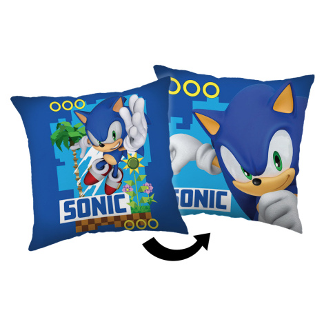 Jerry Fabrics Dekorační polštářek 40x40 cm - Sonic