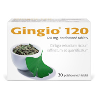 GINGIO 120MG TBL FLM 30