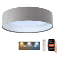 LED Stropní svítidlo SMART GALAXY LED/24W/230V Wi-Fi Tuya šedá/bílá + DO