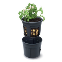 Květináč na pěstování brambor POTATO GROWER antracit 29,5cm PRIZIE300-S433