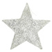 Dekoria Vánoční ozdoba Star Silver 30 cm, 30x30x0,5 cm