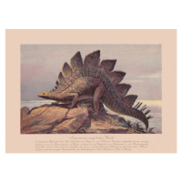 Ilustrace Stegosaurus ungulatus, Late Jurassic, chromolithograph, published, ZU_09, 40 × 30 cm