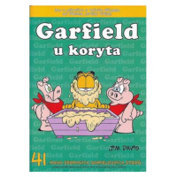 Garfield u koryta (č.41)