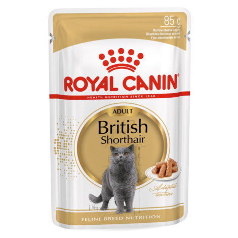 Royal Canin British Shorthair gravy ve šťávě 12 x 85 g