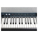 Kurzweil KA P1 LB