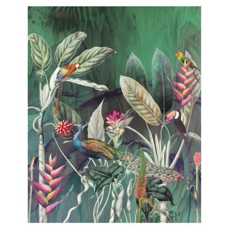 Komar Vliesová fototapeta Jungle Chat 200 x 250 cm