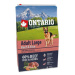 ONTARIO Dog Adult Large Beef & Rice 2,25 kg