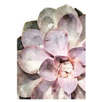 Ilustrace Succulent Close-up, Studio Collection, (26.7 x 40 cm)