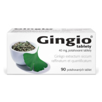 GINGIO 40MG potahované tablety 90