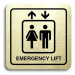 Accept Piktogram "emergency lift" (80 × 80 mm) (zlatá tabulka - černý tisk)