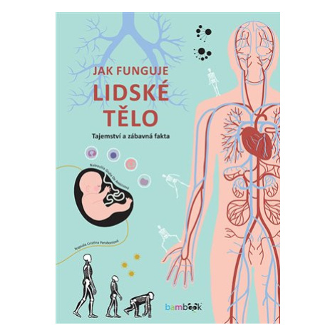 Jak funguje lidské tělo bambook