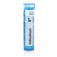 Folliculinum 9CH gra.4g