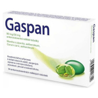 GASPAN  90mg/50mg 14 tobolek