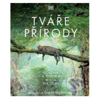 Tváře přírody (Úžasná a divoká místa na Zemi) - Derek Harvey - kniha z kategorie Encyklopedie