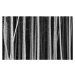 Fotografie Black and White Pine Tree Trunks Background, ImagineGolf, 40 × 26.7 cm