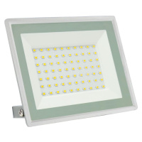 LED Venkovní reflektor NOCTIS LUX 3 LED/50W/230V IP65 bílá