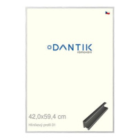 DANTIK rámeček 42 × 59,4, ALU profil 7001 Stříbrný lesklý plexi čiré