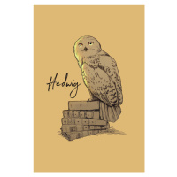 Umělecký tisk Harry Potter - Hedwig, 26.7 × 40 cm