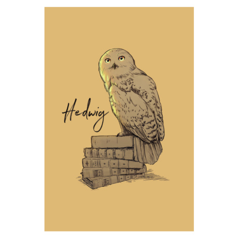 Umělecký tisk Harry Potter - Hedwig, 26.7 × 40 cm