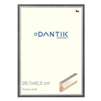 DANTIK rámeček 29,7 × 42, EVOQUE šedý plexi čiré