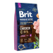 Krmivo Brit Premium by Nature Junior S 8kg