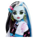 Mattel Monster High Panenka monsterka - Frankie