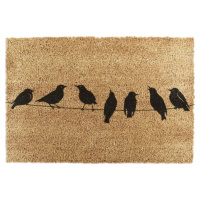 Rohožka z kokosového vlákna 60x90 cm Birds On a Wire – Artsy Doormats