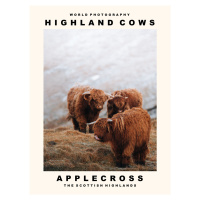 Fotografie Highland Cows (Applecross, The Scottish Highlands), (30 x 40 cm)