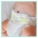 Pampers Premium Care velikost 5 Junior 44ks