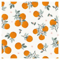 Dětská tapeta 10 m x 50 cm Tangerine – Lilipinso