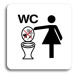 Accept Piktogram "zákaz vhazování předmětů do WC II" (80 × 80 mm) (bílá tabulka - barevný tisk b