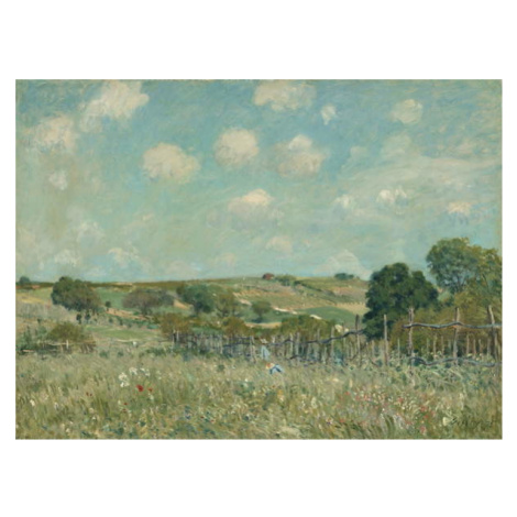 Plakát, Obraz - Meadow, 1875, Alfred Sisley, 40 × 30 cm