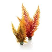 biOrb Aquatic Podzim fern set 2