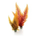 biOrb Aquatic Podzim fern set 2