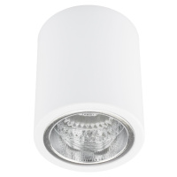 Podhledové bodové svítidlo stropní přisazené kovová trubka JUPITER 10 POLUX DOWNLIGHT E27