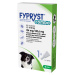 Fypryst Combo spot-on pro střední psy 10-20 kg 134 mg/120,6 mg roztok pro nakapání na kůži 1x1,3