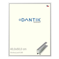 DANTIK rámeček 40 × 50, ALU profil 7269 Stříbrný lesklý sklo čiré