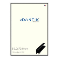 DANTIK rámeček 50 × 70, ALU profil 7269 Černý matný plexi čiré