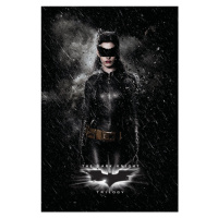 Umělecký tisk The Dark Knight Trilogy - Catwoman, 26.7 × 40 cm