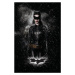 Umělecký tisk The Dark Knight Trilogy - Catwoman, 26.7 × 40 cm