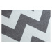 Dywany Lusczow Kusový koberec SKETCH CRAIG šedý / bílý - Cikcak
